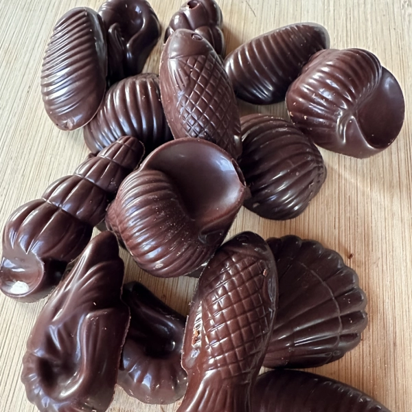 En savoir plus sur : Quoi de neuf à la boutique ? Quoi de neuf à la boutique ?